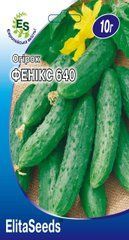 ПРОФ Огірок Фенікс 640 (10г.)