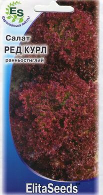 Салат Ред Курл (1г)