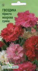 Квіти Гвоздика піриста махрова суміш 0.1г
