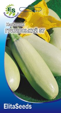 Кабачок Грибивский 37 (20шт.)