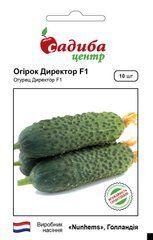 Огірок Директор F1, 10 нас.
