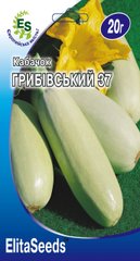 ПРОФ Кабачок Грибивский 37 (20г.)